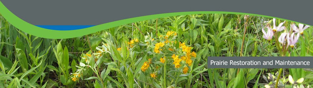 Prairie Restoration and Maintenance